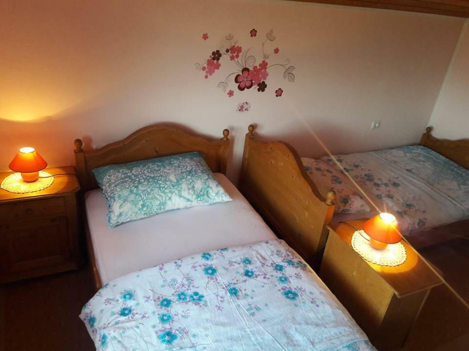 Kuca Za Odmor Anamarija Villa Ogulin Exteriör bild