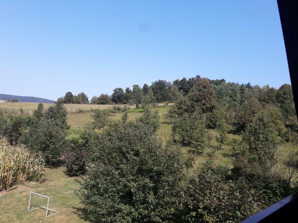 Kuca Za Odmor Anamarija Villa Ogulin Exteriör bild